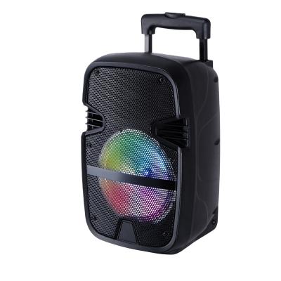 China 12inch Trolley Karaoke Speaker Wireless Boombox 2 Waterproof Portable Speaker for sale