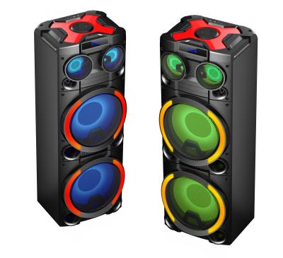 China 12inch DJ Speakers Wireless Rechargeable Portable BT Speaker for sale