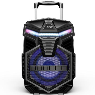 China 12 Inch Rechargeable BT Trolley Speaker Radio With Private Metal Grill Design for sale