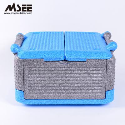 China Plastic Cooler Rolls Foldable Foam Cooler Box Insulin Injection Pen Insulin Cooler Box PPE for sale