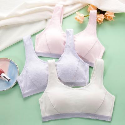 China 2022 New Design Seamless Small Bra Boobs For Young Girls Comfortable Thin Cup Cotton Teen Bralette for sale