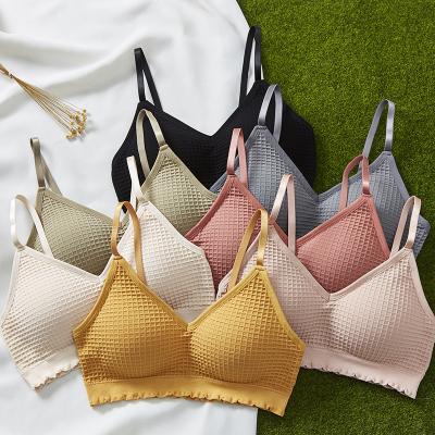 China 2022 New Design Seamless Bralette With Bra Thin Fancy Beauty Back Cup Chest Bag Tube Top Quality Elegant Seamless Top for sale