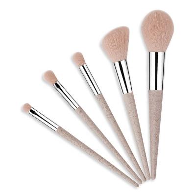 China New Eco-friendly 5PCS Private Label Face Make Up Tool Custom Cosmetic Makeup Brush Set for sale