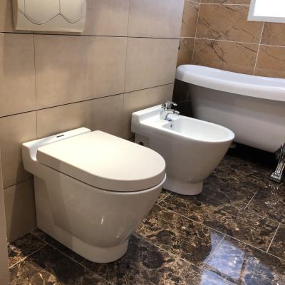 China European Double-Flow Back to Wall Design Bathroom Toilets Wash Down Floor Standing WC Toilets for sale