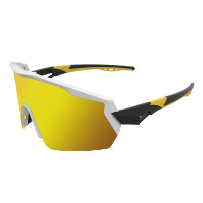 China Detachable Application Scenarios Custom Brand New Replaceable Sports Cycling Ski Glasses for sale