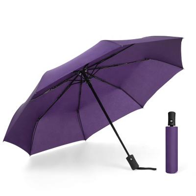 China Custom Customized Special Logo 3 Fold Color Outdoor Windproof Waterproof Compact Outdoor Automatic Umbrella for sale