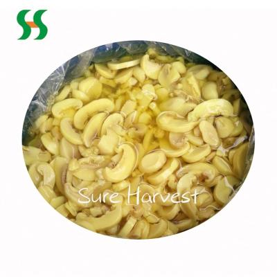 China Cogumelo fresh in SO2 preserve in the mushroom preserved in the barrel of the factory for sale