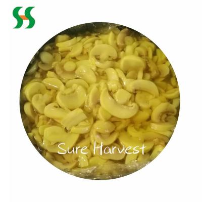 China Healthy New Product Champigones White Mushrooms In Brine for sale