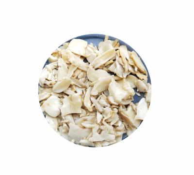 China Canned brined salted king oyster mushroom in plastic drums for sale