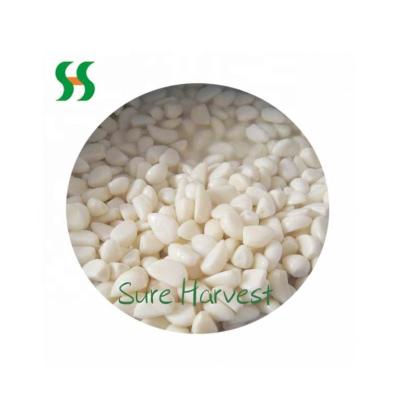 China Bulk Dried Brine Garlic Wholesale China for sale