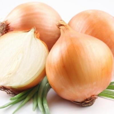 China Bulk Fresh Success Fresh Yellow Onion for sale