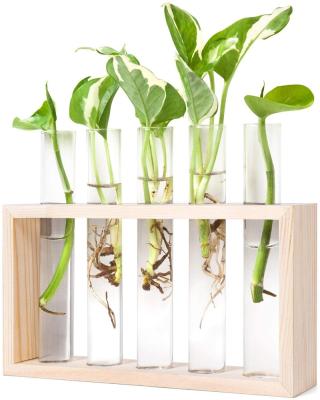 China Modern Custom Made Wooden Rack Planter Propagation Station Test Tube Glass Vase Wall Hanging For Garden Office Decor for sale