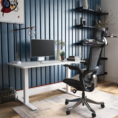 China Smart Electric (Height) Height Adjustable Frame Ergonomic Dual View Motor Desk for sale