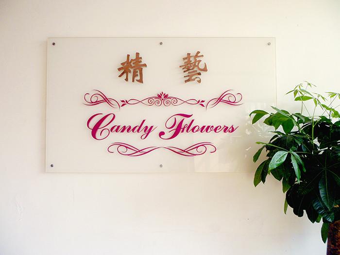 Verified China supplier - Candy Flowers Leather CO.,LTD