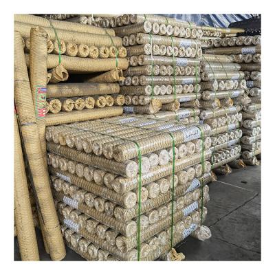 China Easily Assembled China Cheapest Galvanized Hexagonal Wire Mesh For Chicken And Pets for sale