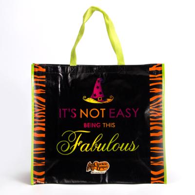 China High Quality Eco - Friendly PP Bag Full Printing Non Woven Shopping Bag Eco - Friendly for sale