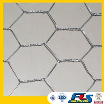 China Construction Wire Mesh Galvanized Chicken Wire Mesh for Plaster for sale