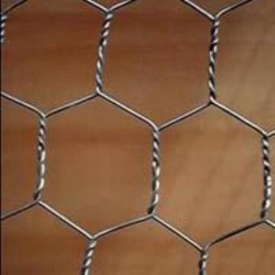 China Construction Wire Mesh Chicken Wire Mesh For Plastering / Hexagonal Wire Mesh for sale