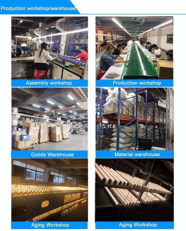 Verified China supplier - Dongguan Light Shines Electric Lighting Co., Ltd.