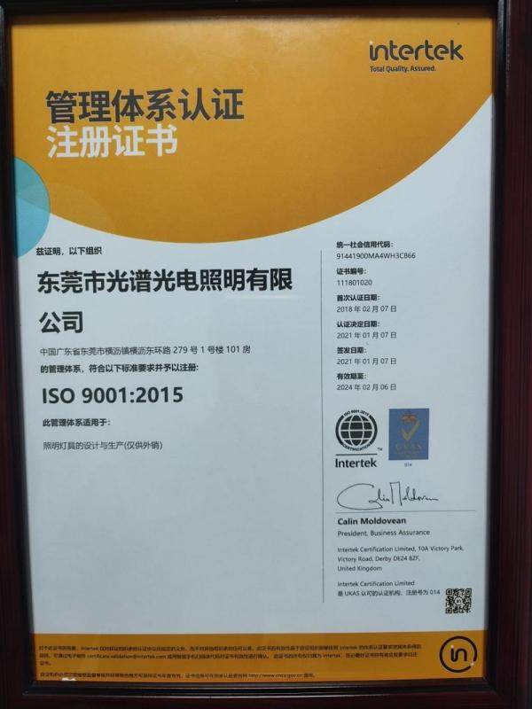 ISO9001 - Dongguan Light Shines Electric Lighting Co., Ltd.