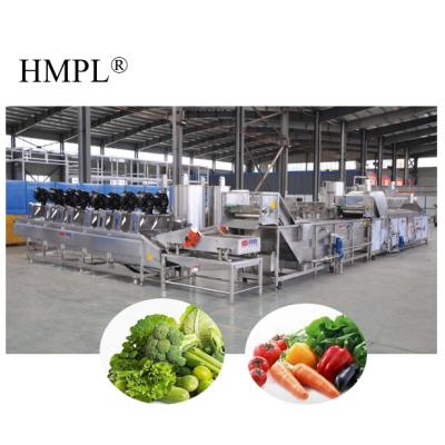 China Industrial Cleaning Washing Processing Line Fully Automatic Vegetable or Fruit Vegetable Cleaning Fruit Washing Processing Equipment Line for sale