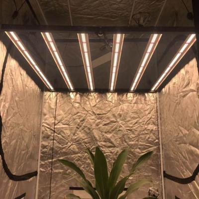 China Seed Starting Wholesale Full Spectrum High Power Lamp 3000k / 3500k LED Strip Grow Light Greenhouse for sale