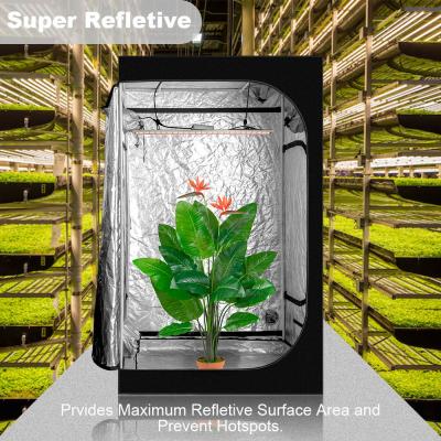 China Easily Assembled LED Grow Light Greenhouse Indoor Plant Vegetables Fruit Green Room Grow Tent for sale