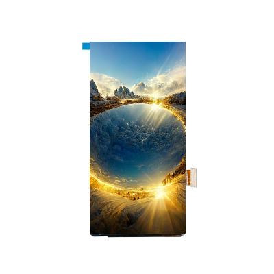 China 6.01 pulgadas Amoled Display con 1080 ((W) × 2160 ((H) Resolución Brillante en color Responda rápido en venta