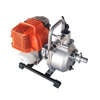 China Developing World Water Solutions Professional Water Vacuum Pump WP350 for sale