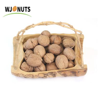 China 185 Nuts Natural Chinese Shell Dry Cultured Walnut Price 100% New In Dubai for sale