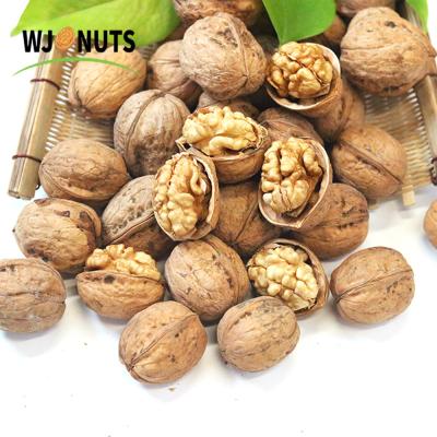 China Wholesale Price Xinjiang Top Unwashed Paper-skin Walnut Inshell 185 Type Dry Walnut for sale