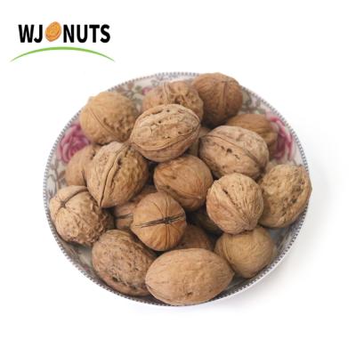 China Factory Price Thin Skin Walnut Xinjiang Walnut Dry Organic Kernel for sale