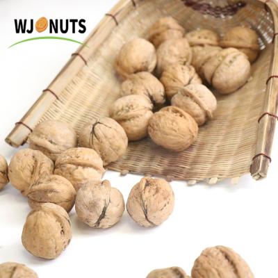 China 100% natural dry xian chinese walnut 0.5kg walnuts in shell price for sale