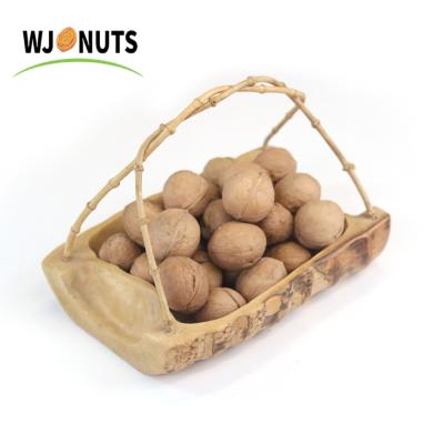 China Xinjiang Dried 2021 Types 33 Wash Culture Walnut In-SHELL Walnuts for sale