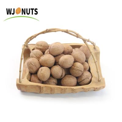 China Dried 2021 Chinese Sweet Dried Fruit Nuts 1 Kg Small Walnut for sale