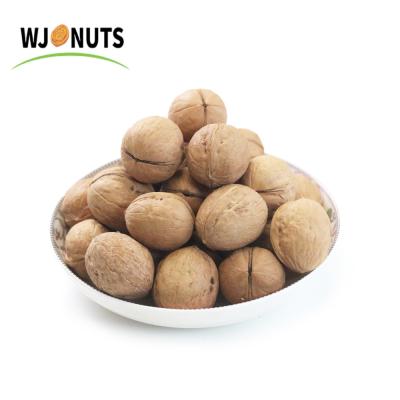 China Wholesale Factory Price Dried Thin-SHELL Walnut Xinjiang Walnut Inshell Washed Type 33 for sale