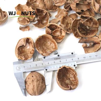 China Wangjiang 100% natural dried commercial walnuts in shells price for sale