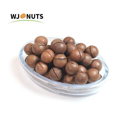 China Non-extra Xinjiang 100% Chinese Best Natural Australian Hazelnut Prices for sale