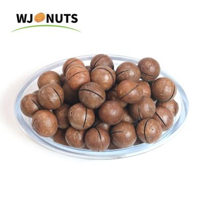 China Wangjiang Non-Additional Japanese Hazelnuts Nues de Chocolate Roasted for sale