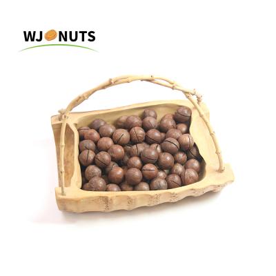 China Factory Wholesale Non-Extra Roasted Australian Hazelnut Chocolate Shell for sale