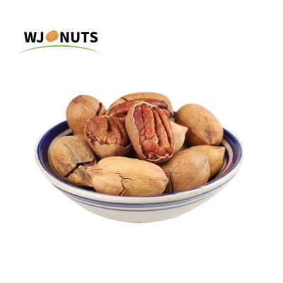 China Factory bulk china best price dry raw pine nuts shell for sale