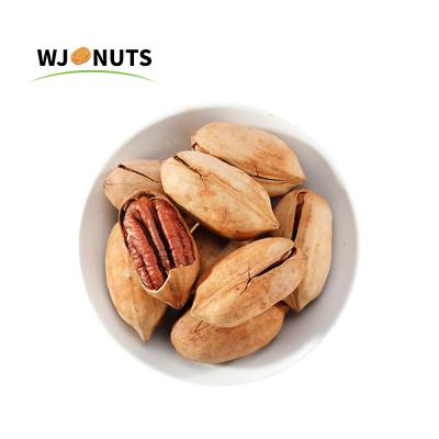 China High Quality Organic Pecans Dried Fresh Wangjiang Pecans Price for sale