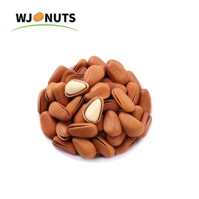 China Natural Wholesale Afghan Pine Nuts Cores Raw Factory Price Of Pine Nuts for sale