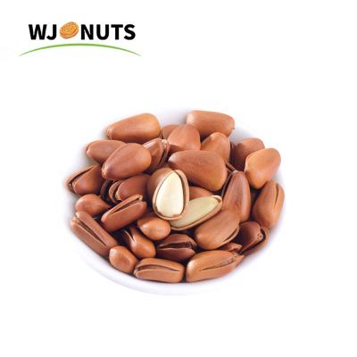 China Normal Wangjiang Pakistan or long pine nuts kernels pine nuts prices for sale