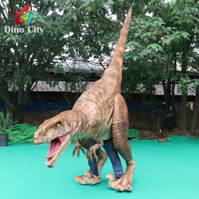 China Used adult realistic dinosaur mascot costume on sale LCKLF2018ZH010 for sale