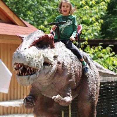 China Real Sense Amusement Park Equipment Animatronic Dinosaur Ride for sale