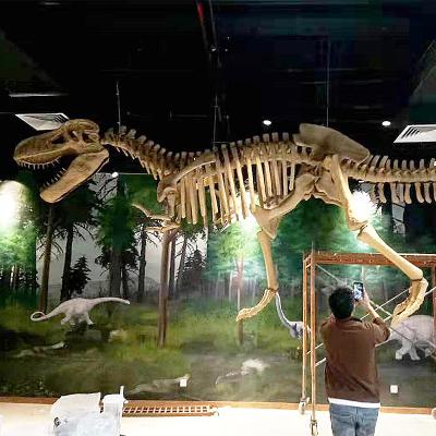 China FRP Museum Customized Porcelain Realistic Animal Skeleton Dinosaur Fossils for sale