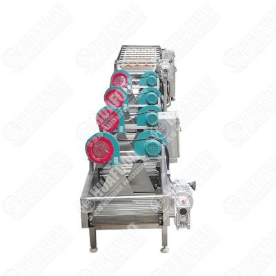 China Industrial Vegetable And Fruit Washing Production Line Fruit Drying Washing Production Line Potato Cleaning Drying Machine for sale