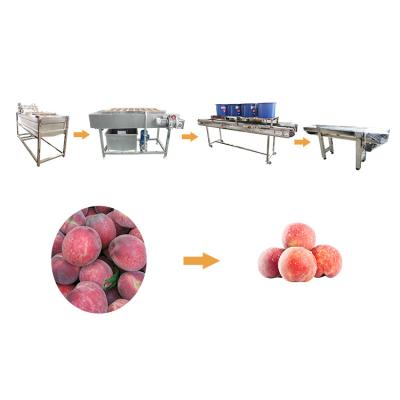 China Hot selling Iqf Frozen Vegetable Fruit Washing Blanching Machine Line by Huafood for sale