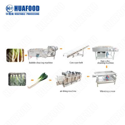 China Fruit Vegetable Juice Processing Line Washing Machine For Vegetable Fruit Products for sale